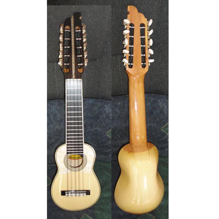 PROFESSIONAL CHARANGO - PEDRO SOTO