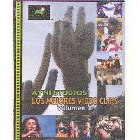 LOS MEJORES VIDEO CLIPS<br> Volumen X (DVD)