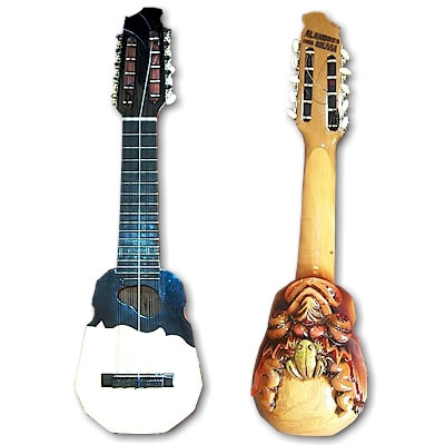 CONCERT DEVIL CHARANGO - IVAN ALANDRES