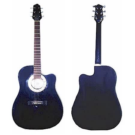 ACUSTIC GUITAR - PROFESSIONAL - GAMBOA
