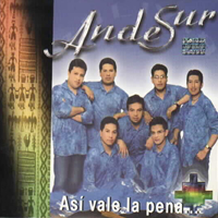 ANDE SUR <BR> As� vale la pena