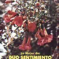 DUO SENTIMIENTO <BR> Lo mejor de Duo Sentimiento