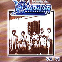 Kjarkas Vol VI <BR> Lo mejor de . . .