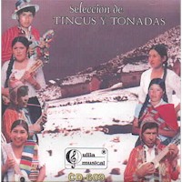 VARIOS ARTISTAS <BR> Selecci�n de Tinkus y Tonadas